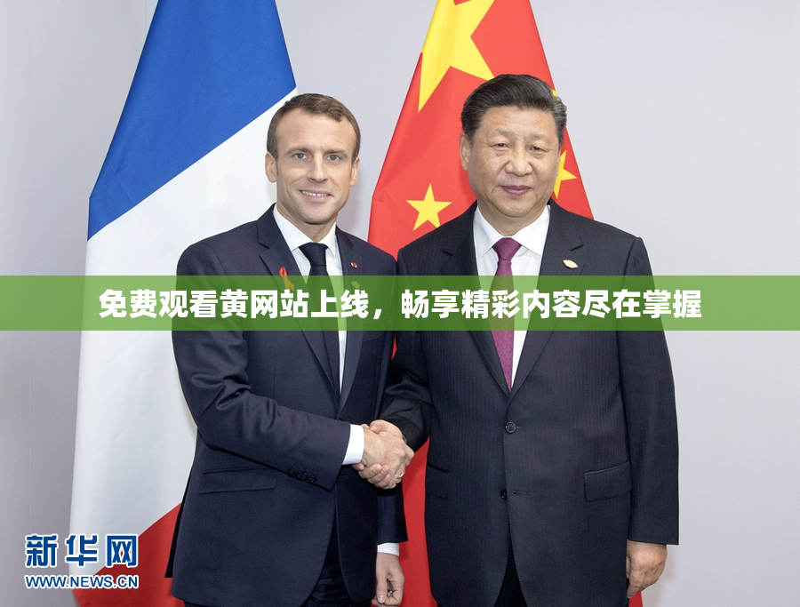 免费观看黄网站上线，畅享精彩内容尽在掌握