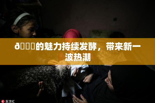 🈚的魅力持续发酵，带来新一波热潮