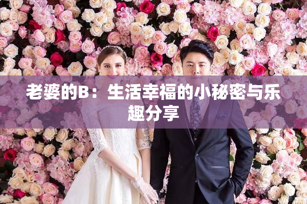 老婆的B：生活幸福的小秘密与乐趣分享