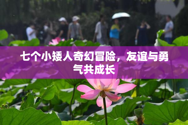 七个小矮人奇幻冒险，友谊与勇气共成长