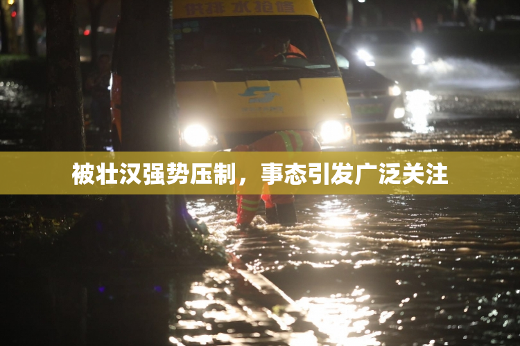 被壮汉强势压制，事态引发广泛关注