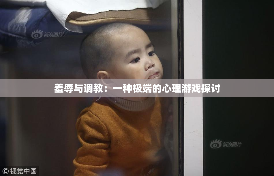 羞辱与调教：一种极端的心理游戏探讨
