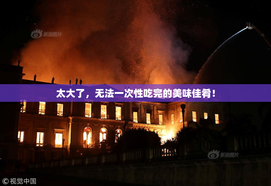 太大了，无法一次性吃完的美味佳肴！
