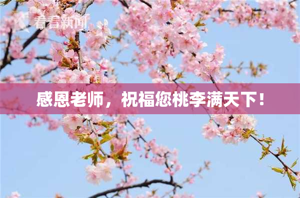 感恩老师，祝福您桃李满天下！