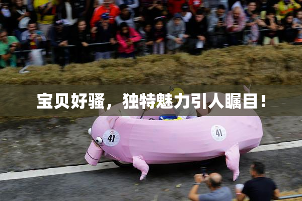 宝贝好骚，独特魅力引人瞩目！