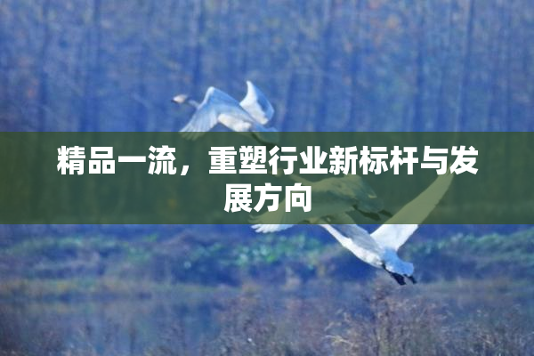 精品一流，重塑行业新标杆与发展方向
