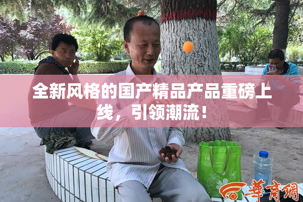 全新风格的国产精品产品重磅上线，引领潮流！