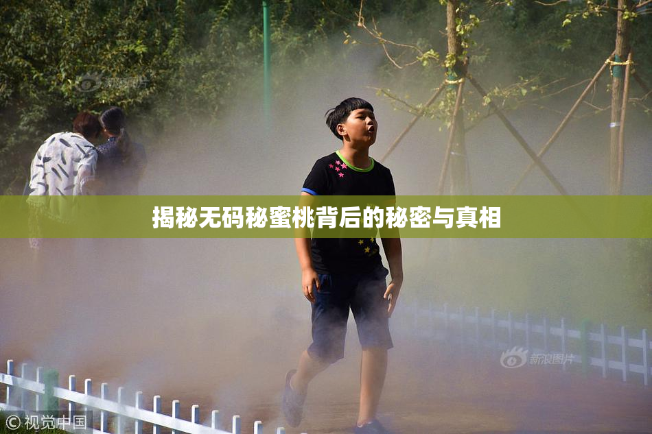 揭秘无码秘蜜桃背后的秘密与真相