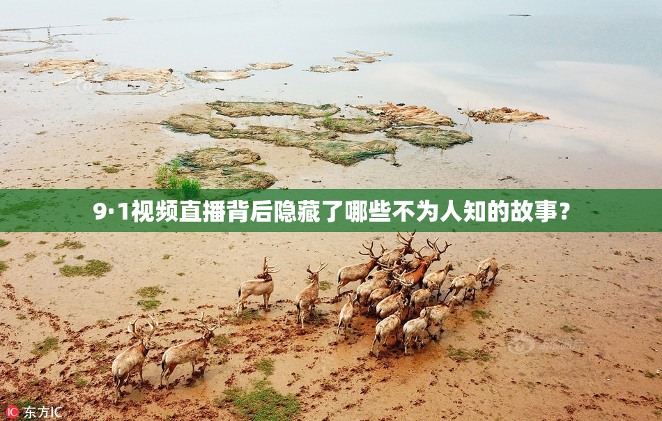 9·1视频直播背后隐藏了哪些不为人知的故事？