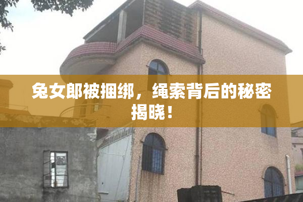 兔女郎被捆绑，绳索背后的秘密揭晓！