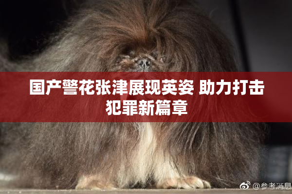 国产警花张津展现英姿 助力打击犯罪新篇章