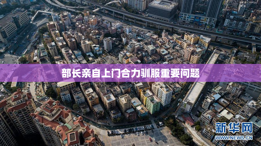 部长亲自上门合力驯服重要问题
