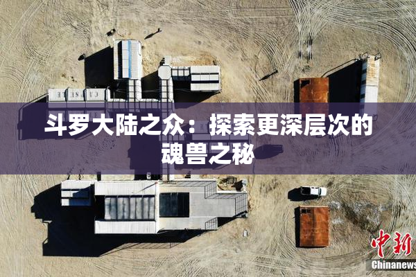 斗罗大陆之众：探索更深层次的魂兽之秘