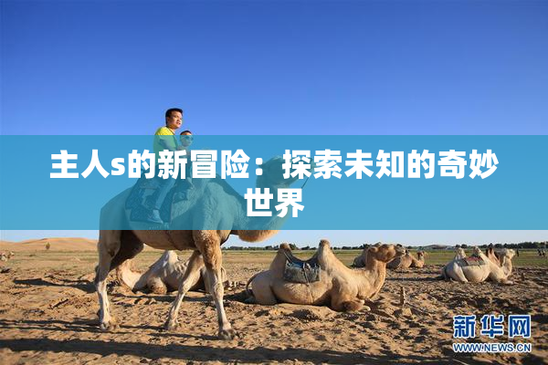 主人s的新冒险：探索未知的奇妙世界