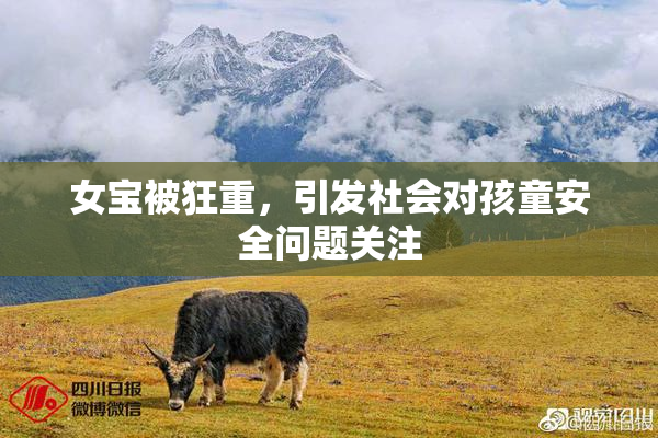 女宝被狂重，引发社会对孩童安全问题关注