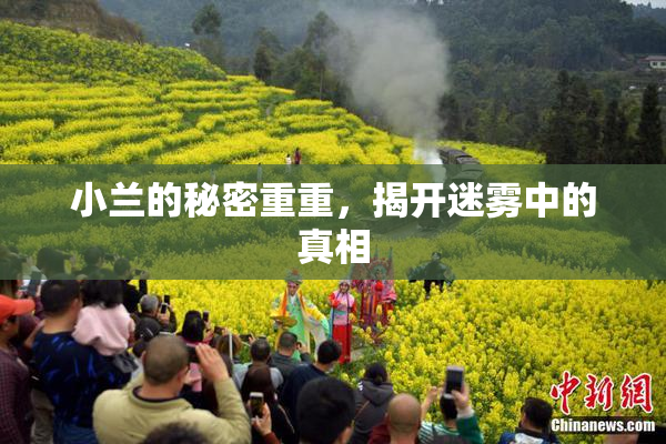 小兰的秘密重重，揭开迷雾中的真相