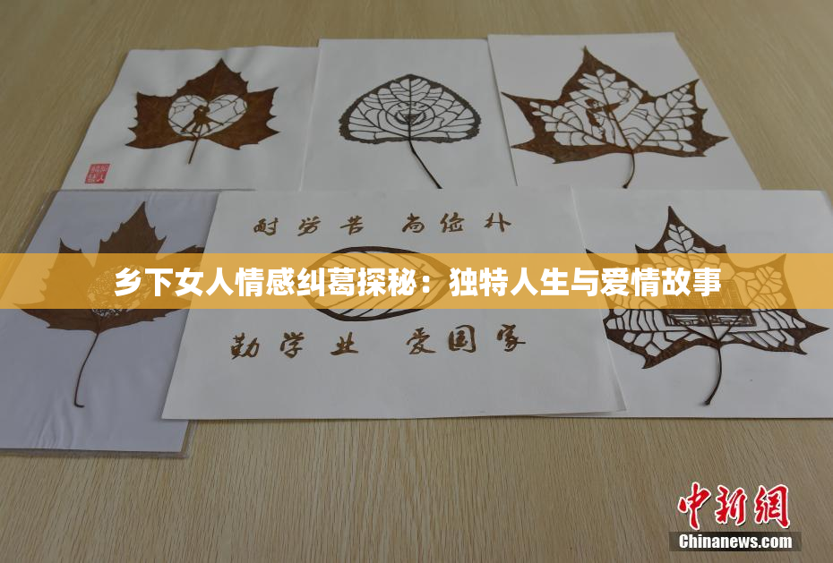 乡下女人情感纠葛探秘：独特人生与爱情故事