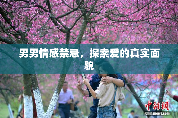 男男情感禁忌，探索爱的真实面貌