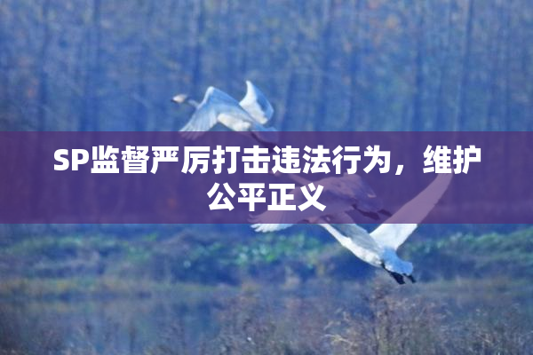 SP监督严厉打击违法行为，维护公平正义