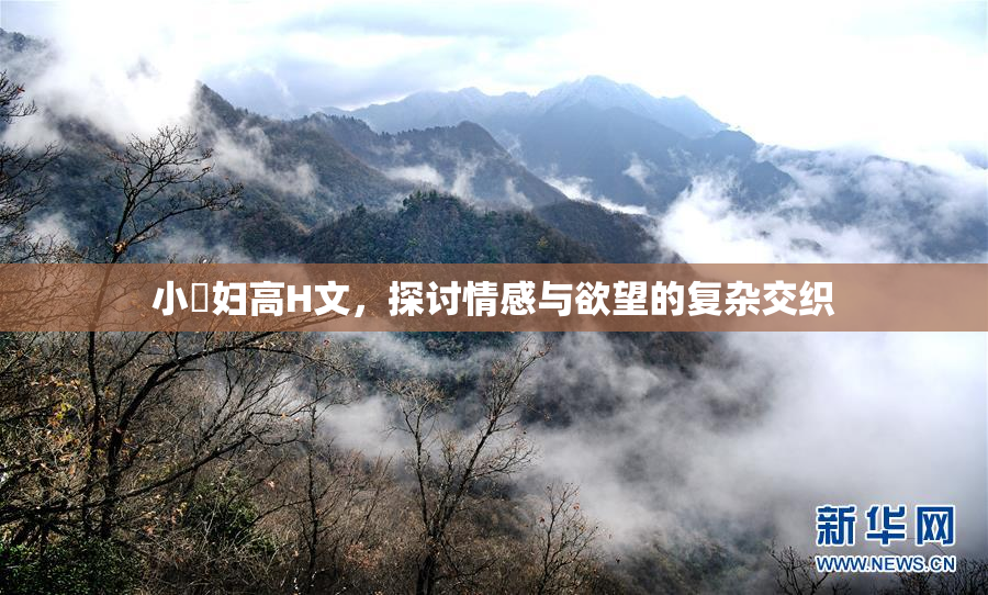 小婬妇高H文，探讨情感与欲望的复杂交织