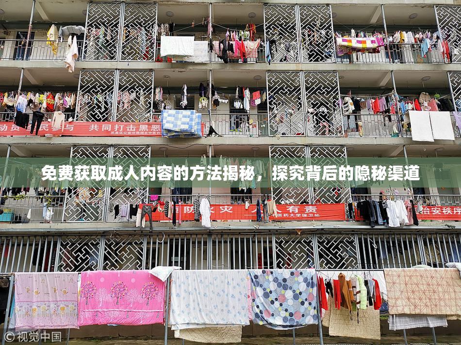免费获取成人内容的方法揭秘，探究背后的隐秘渠道