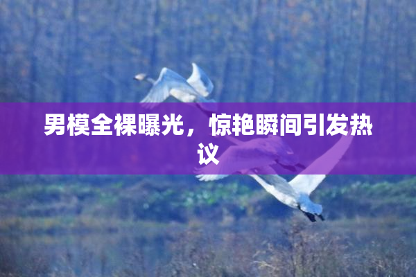 男模全裸曝光，惊艳瞬间引发热议