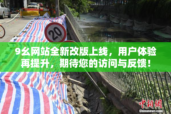 9幺网站全新改版上线，用户体验再提升，期待您的访问与反馈！