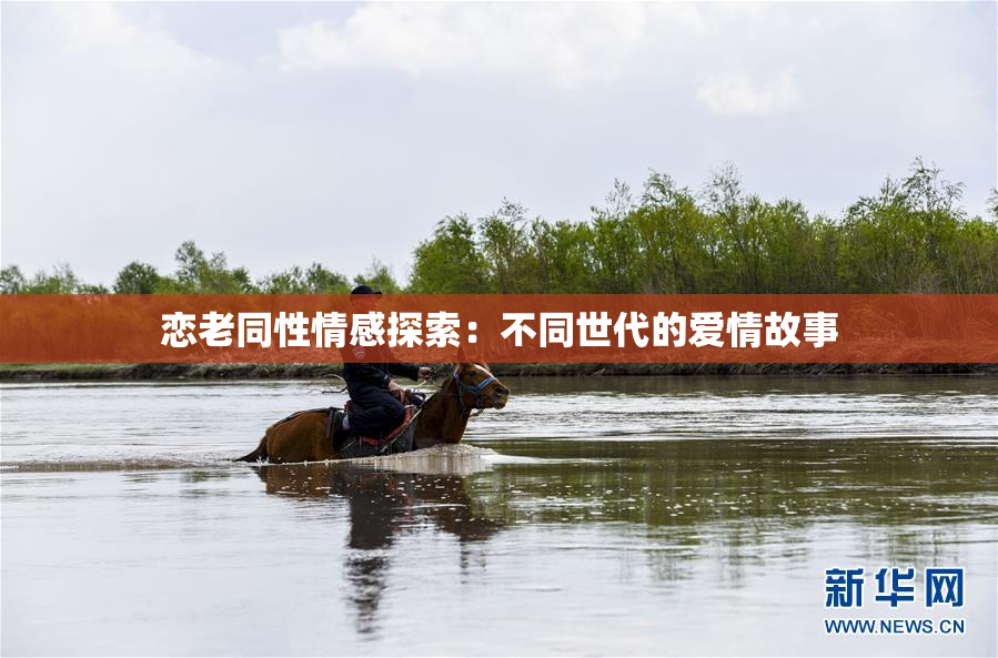 恋老同性情感探索：不同世代的爱情故事