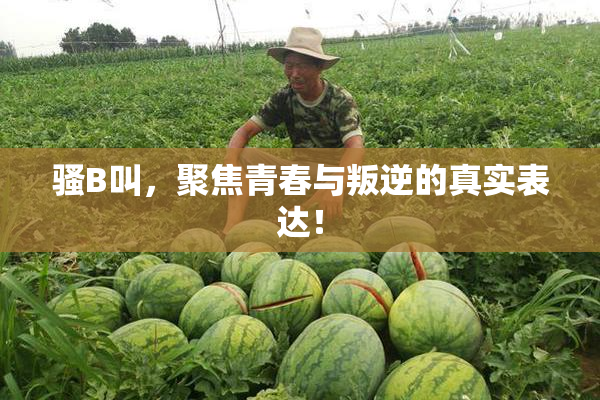 骚B叫，聚焦青春与叛逆的真实表达！