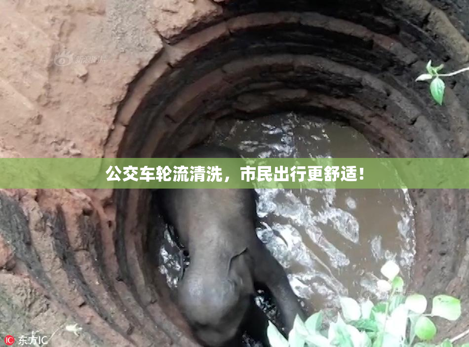 公交车轮流清洗，市民出行更舒适！