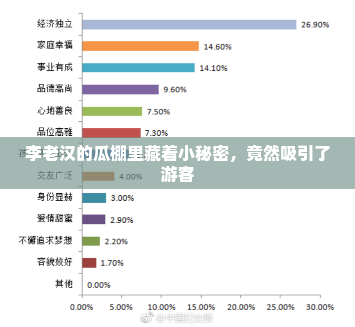 李老汉的瓜棚里藏着小秘密，竟然吸引了游客