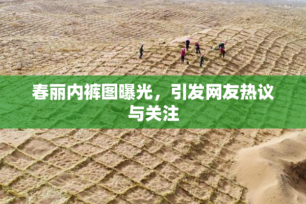 春丽内裤图曝光，引发网友热议与关注