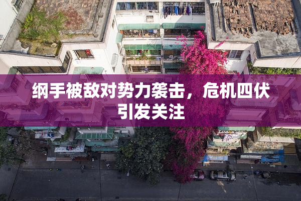 纲手被敌对势力袭击，危机四伏引发关注