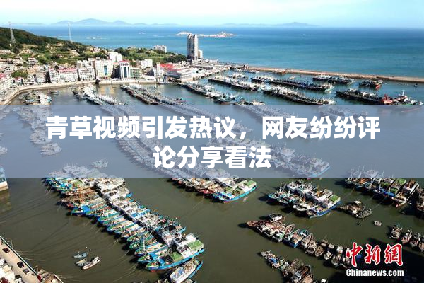青草视频引发热议，网友纷纷评论分享看法