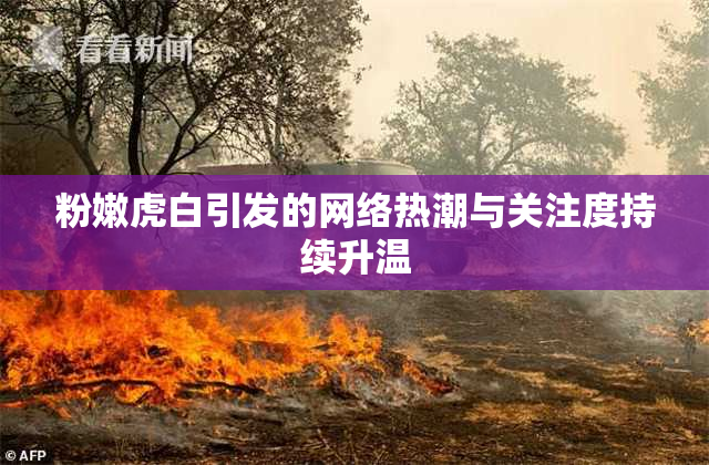 粉嫩虎白引发的网络热潮与关注度持续升温