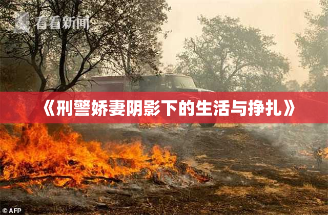 《刑警娇妻阴影下的生活与挣扎》