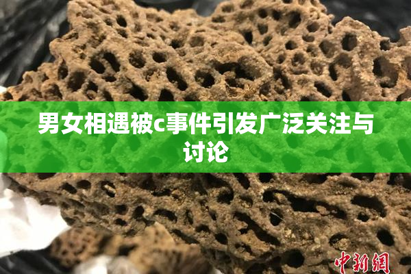 男女相遇被c事件引发广泛关注与讨论