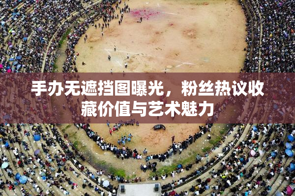 手办无遮挡图曝光，粉丝热议收藏价值与艺术魅力