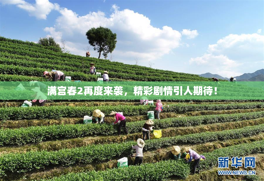 满宫春2再度来袭，精彩剧情引人期待！
