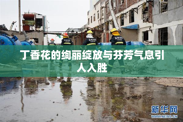 丁香花的绚丽绽放与芬芳气息引人入胜