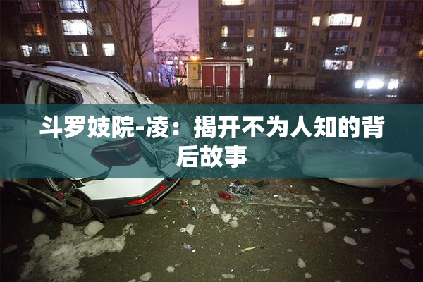 斗罗妓院-凌：揭开不为人知的背后故事