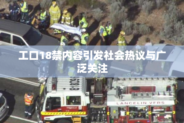 工口18禁内容引发社会热议与广泛关注