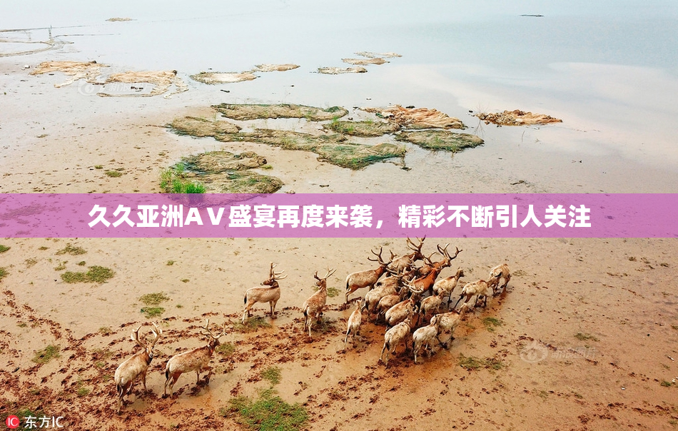 久久亚洲AⅤ盛宴再度来袭，精彩不断引人关注