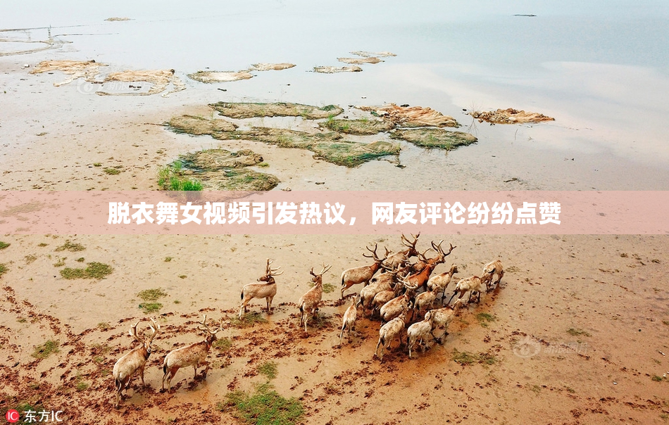 脱衣舞女视频引发热议，网友评论纷纷点赞