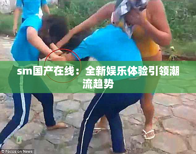sm国产在线：全新娱乐体验引领潮流趋势