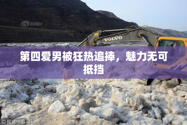 第四爱男被狂热追捧，魅力无可抵挡