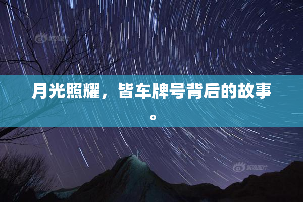 月光照耀，皆车牌号背后的故事。