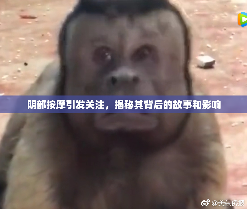 阴部按摩引发关注，揭秘其背后的故事和影响