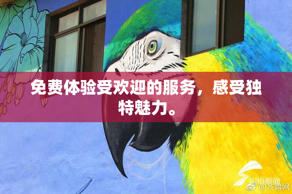 免费体验受欢迎的服务，感受独特魅力。