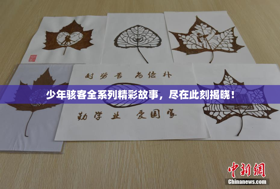 少年骇客全系列精彩故事，尽在此刻揭晓！